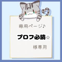 プロフ必読☆様 リクエスト 3点 まとめ商品のサムネイル