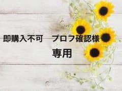 【即購入不可　プロフ確認様専用】のサムネイル