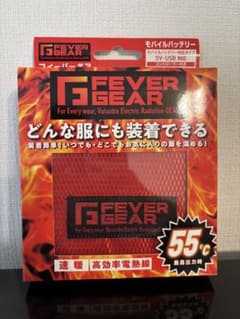 55° 超暖 3500円ワークマン 極暖電熱パッド