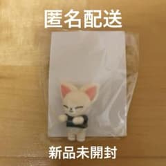 Stray Kids スキズ FCくじ D賞 アイエン フォクシニー 匿名配送のサムネイル
