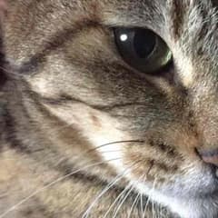 Junさま専用のサムネイル
