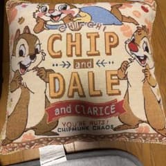 Disney 칩과 데일 쿠션 chip and dale