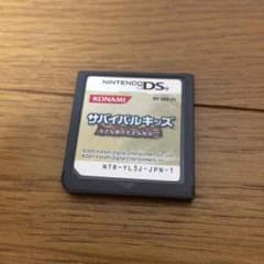 サバイバルキッズ DSカセットのサムネイル