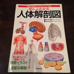 人体解剖図のサムネイル