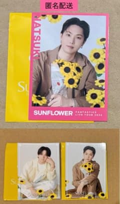 澤本夏輝 堀夏喜 フォトカ シクレ - メルカリ