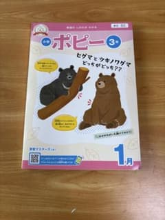 あやや様専用 ポピー教材のサムネイル