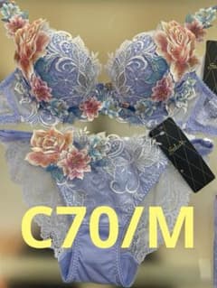 サルート 09グループ⭐️店舗限定⭐️PU⭐️C70/M⭐️上下2点