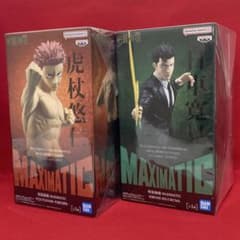 주술회전 호랑이 진 사멸회계 일차관견 MAXIMATIC 2종 세트