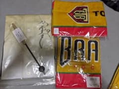 栃木ゴールデンブレーブス　飯原誉士　セットのサムネイル