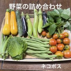 野菜の詰め合わせのサムネイル