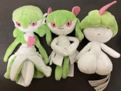 포켓몬 fit 사나이트 킬리아 랄토스 봉제인형