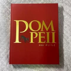 Pompeii 特別版 アートブック ポンペイ展 図録 日本語 - メルカリ
