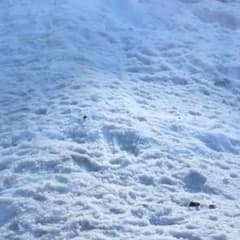 まさくん様 専用のサムネイル
