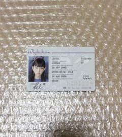 kiiikiii Whykiiikiii ガイドブックver. 封入　イソルのサムネイル