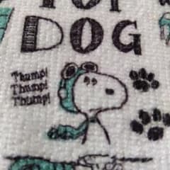 ゆうくん専用ページのサムネイル