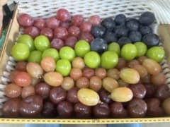 ネム様専用　粒　2kのサムネイル