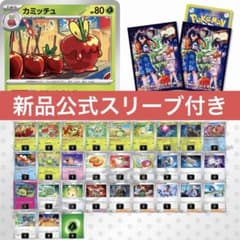 お祭りおんどデッキ　プラスデッキパーツ スリーブ付き(オーバースリーブ付きです) m70448584073_1.jpg?1737999043