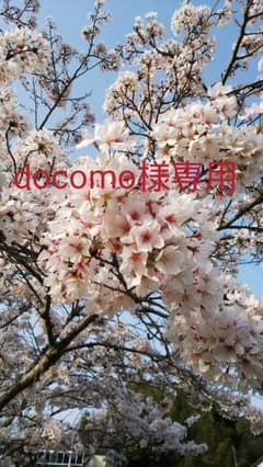docomo様専用☆ロボクル☆Softbankのサムネイル