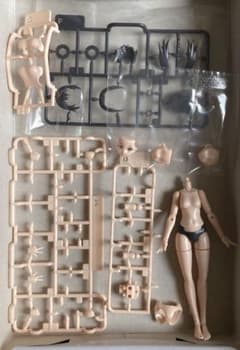 Z*d様 plamatea ミューズボディ いちか Aタイプ 一部組み立て済 パ