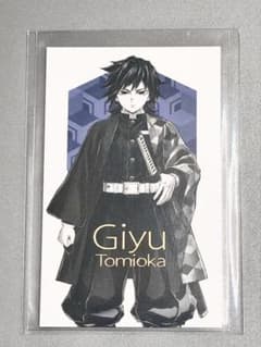 Demon Slayer: Kimetsu no Yaiba Pillar Exhibition Key Visual Random Collection Photo - Giyu Tomioka