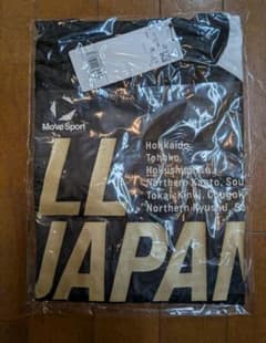 新品未使用 オールジャパン 2026 陸上 インターハイ デサント Tシャツ