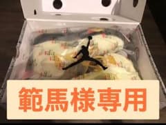 エアジョーダン5 オフホワイトセイル/ファイアレッド 値下げのサムネイル