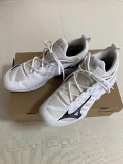 バレーボールシューズ 28cm(MIZUNO WAVE DIMENSION)のサムネイル