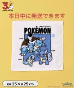 3coins ポケモン ミニタオルのサムネイル