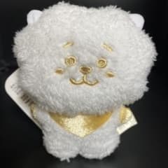 BTS BT21 BASIC 반짝반짝 탄탄 마스코트 봉제인형[진]