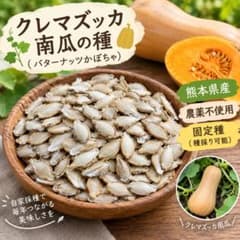 【農薬不使用】バターナッツかぼちゃの種　南瓜　クレマズッカかぼちゃ　固定種　9粒