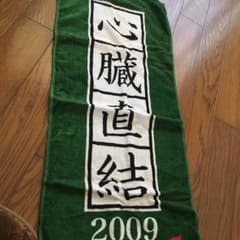 2009年 THEイナズマ戦隊 タオルのサムネイル