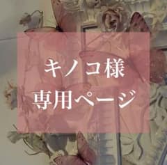 キノコ様専用ページ¨̮♡︎ No.03のサムネイル