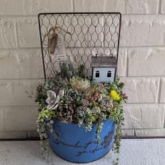 多肉植物 ♡そのまま飾れる寄せ植え♡ ☆オークション商品☆ - メルカリ
