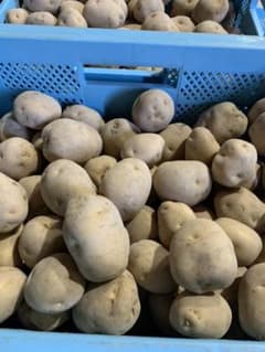 北海道産新じゃがいものサムネイル