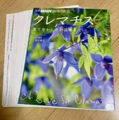 【裁断済み】クレマチス 育て方から最新品種までのサムネイル