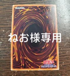 【ねお様専用】