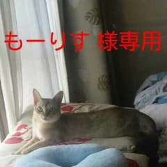 もーりす様専用のサムネイル