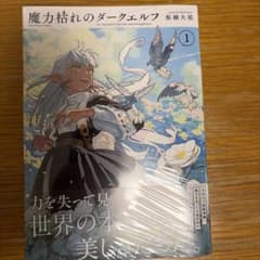 初版シュリンク帯付き】魔力枯れのダークエルフ 1巻 板橋大祐 - メルカリ