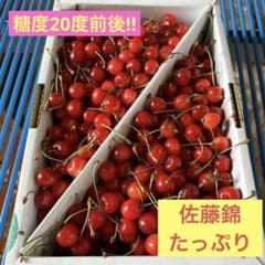 Ｍ寄りのSサイズ 1.3キロ超えのサムネイル