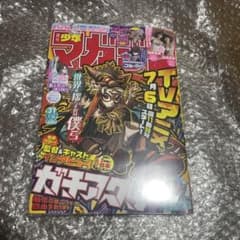 ちゃおデラックス 増刊 ちゃおホラー まとめ売り 2004年〜2008年 14冊