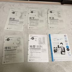 ベネッセ総合学力テスト模試　高2 1月　国語、数学、英語、理科、地歴、解答解説付のサムネイル