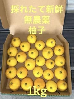 柚子のサムネイル