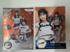 BBM 2026 東京ヤクルト Passion 2枚セットのサムネイル