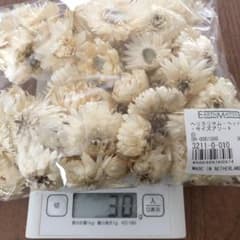 ドライフラワー ヘリクサム・ヘッド・サイズアソート 手芸パーツ 白 花材のサムネイル