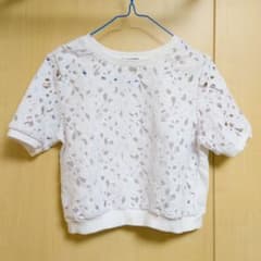 レーストップのサムネイル