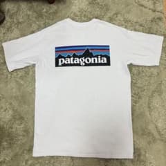 Patagonia パタゴニア Tシャツ 白 Sサイズのサムネイル