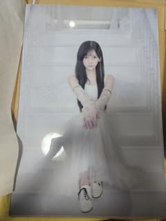 乃木坂46 池田瑛紗個展レプリカ アクリル 乃木坂46 池田瑛紗個展レプリカ アクリル - メルカリ
