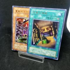 m70479700607_1.jpg?1716565308