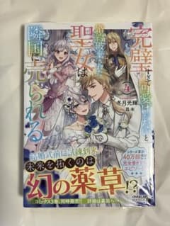 完璧すぎて可愛げがないと婚約破棄された聖女は隣国に売られる 4
