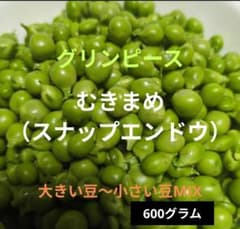 感謝セール！本日中150円引き！グリンピースむき豆（スナップエンドウ ）600gのサムネイル